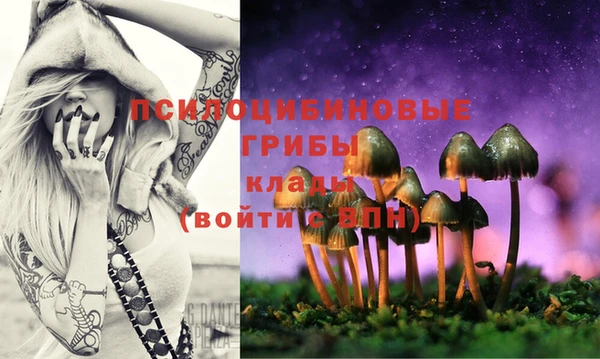 крисы Магадан