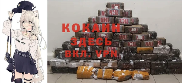 крисы Магадан