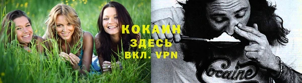 ECSTASY Майский